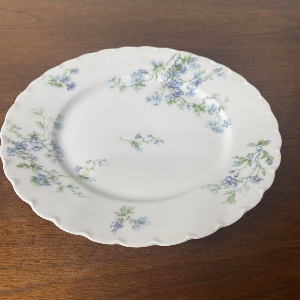 Limoges France Haviland White Blue Floral Plate 8.5" Porcelain Dishes